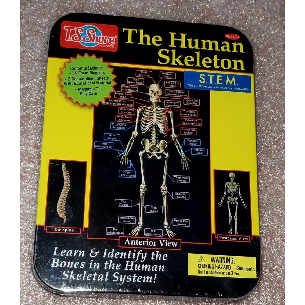 The Human Skeleton Learn & Identify the Bones T.S. Shure in Tin Case New Sealed